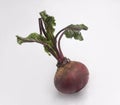 Fresh beetroot with leaves isolated on white Royalty Free Stock Photo