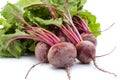 Fresh Beetroot with leaves, isolated on white background. Close-up Royalty Free Stock Photo