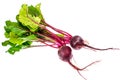 Fresh beetroot with leaves, isolated on white background Royalty Free Stock Photo