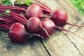 Fresh beetroot on rustic wooden background. Harvest vegetable cooking conception . Diet or vegetarian food concept