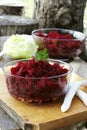 Fresh beetroot salad Royalty Free Stock Photo