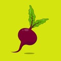 Fresh Beetroot Vector Vegetable Illustration Icon Fresh Plant Vegetable