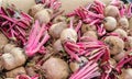 Fresh beetroots Royalty Free Stock Photo