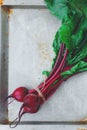 Fresh beetroots on metallic background. Summer food concept. Top view. Flat lay