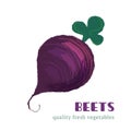 Fresh beets isolated on white background. Royalty Free Stock Photo