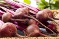 Fresh beets on a wooden board Royalty Free Stock Photo