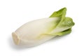 Fresh belgian endive Royalty Free Stock Photo