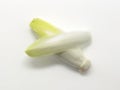 Fresh belgian endive isolated on white background. Royalty Free Stock Photo