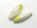 Fresh belgian endives isolated on white background. Royalty Free Stock Photo