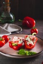 Fresh bell pepper stuffed with cucumber, tomato and greek yogurt on a plate vertical view Royalty Free Stock Photo