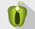 Fresh bell pepper. Vector paprika. Green sweet pepper