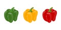 Fresh bell pepper vegetables isolated on white background. Vector illustration for any design Royalty Free Stock Photo