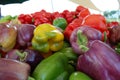 Fresh Bell Peppers for Sale (Yellow, Green, Purple, Red) Royalty Free Stock Photo