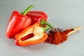 Fresh bell peppers and scoop of paprika powder on white table Royalty Free Stock Photo