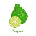 Fresh bergamot or Citrus bergamia. Whole and half.