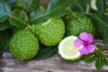 Fresh bergamot fruit and pink flower, Kaffir Lime, Citrus bergamia with leaf on wooden table, Slice bergamot citrus fruit Royalty Free Stock Photo