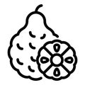 Fresh bergamot icon, outline style