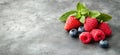 Fresh Berries Arrangement with Mint Leaves on Gray Background, copy space for text Royalty Free Stock Photo