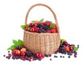 Fresh berries in basket isolated on white background Royalty Free Stock Photo