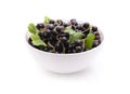 Black currant in a white cup Royalty Free Stock Photo