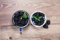 Fresh berries of blackberries, blueberries, mint leaves, in white bowl and blue mug on wooden background. Top view Royalty Free Stock Photo