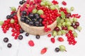 Fresh berries in bowl