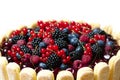 Fresh berries cake Royalty Free Stock Photo