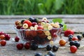 Fresh berries of cherry, gooseberry, currant lie on a glass plate and scattered around it