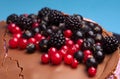 Fresh berries and cocolate Royalty Free Stock Photo