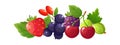 Fresh berries composition. Isolated cartoon berry, red cherries strawberry blackcurrant. Ripe juicy blackberry and Royalty Free Stock Photo