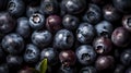 Fresh berries covered in droplets of water.