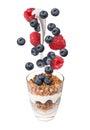 Fresh berries falling into glass with yogurt and granola on white background Royalty Free Stock Photo