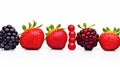 Fresh berries from the forest create a vibrant, healthy border. Perfect for adding color and flavor to any dish