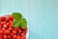 Fresh berries of forest strawberry on light blue wooden background, top view. strawberries in white dish, decorated with green lea Royalty Free Stock Photo