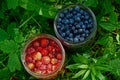 Blueberries and strawberries in glass jars in green grass