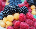 Fresh berries include sweet raspberry and blackberry Royalty Free Stock Photo