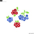 Fresh berries. Isolated cranberry and blueberry with leaves on white background