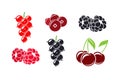 Fresh berries. Isolated raspberry currant cherry cranberry and blackberry on white background