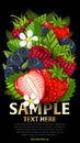 Fresh berries mix , vector illustration Royalty Free Stock Photo