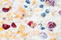 Fresh berries and muesli close-up for healthy breakfast Royalty Free Stock Photo