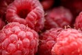 Fresh berries of pink raspberry, only plucked Royalty Free Stock Photo