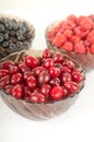 Fresh berries: raspberries, currant, dogwood berries