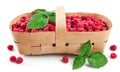 Fresh berries raspberry in wicker basket Royalty Free Stock Photo