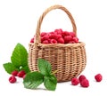 Fresh berries raspberry in wicker basket Royalty Free Stock Photo