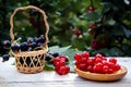 Fresh berries of red and black are coordinated in wooden utensils. Royalty Free Stock Photo