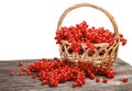 Fresh berries red currant in a basket isolated Royalty Free Stock Photo