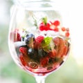 Fresh berries salad Royalty Free Stock Photo