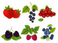 Fresh berries set Royalty Free Stock Photo