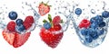 Fresh berries in water splash Royalty Free Stock Photo