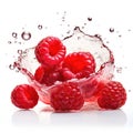 Fresh berries in water splash. Isolated on white background. Royalty Free Stock Photo